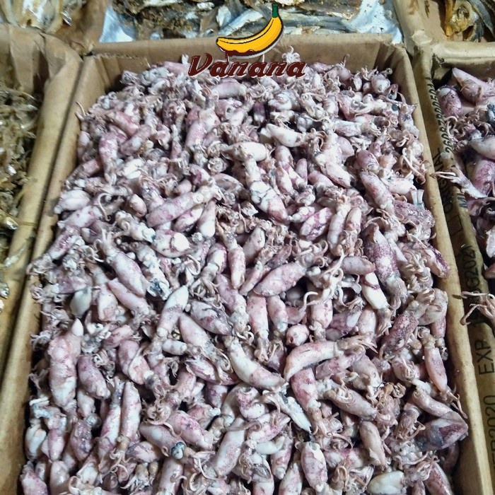 

ikan asin kecil 1kg(1000 gram)