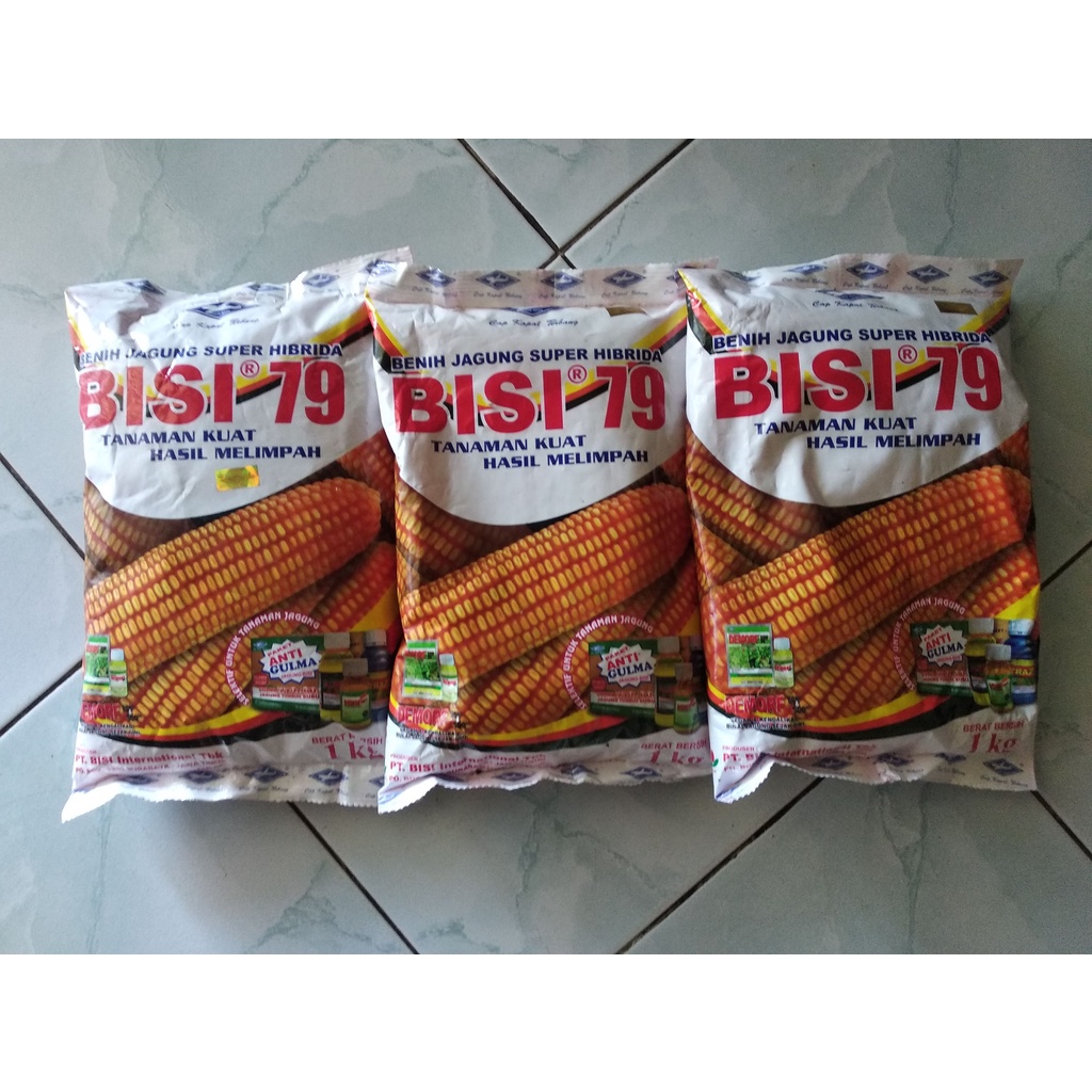 Benih Jagung Bisi 79 Hibrida Kemasan 1 kg