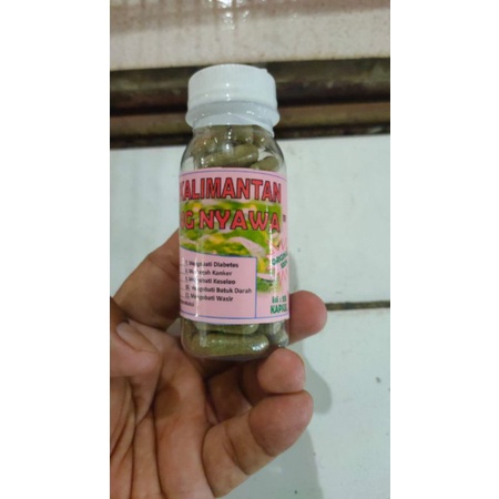 

HERBAL SAMBUNG NYAWA