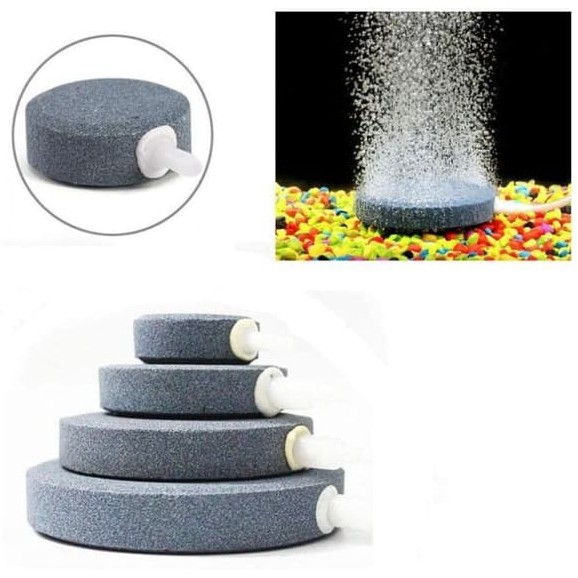 ASC 100 Batu Aerator bulat pipih air stone airstone gelembung udara aquarium aquascape