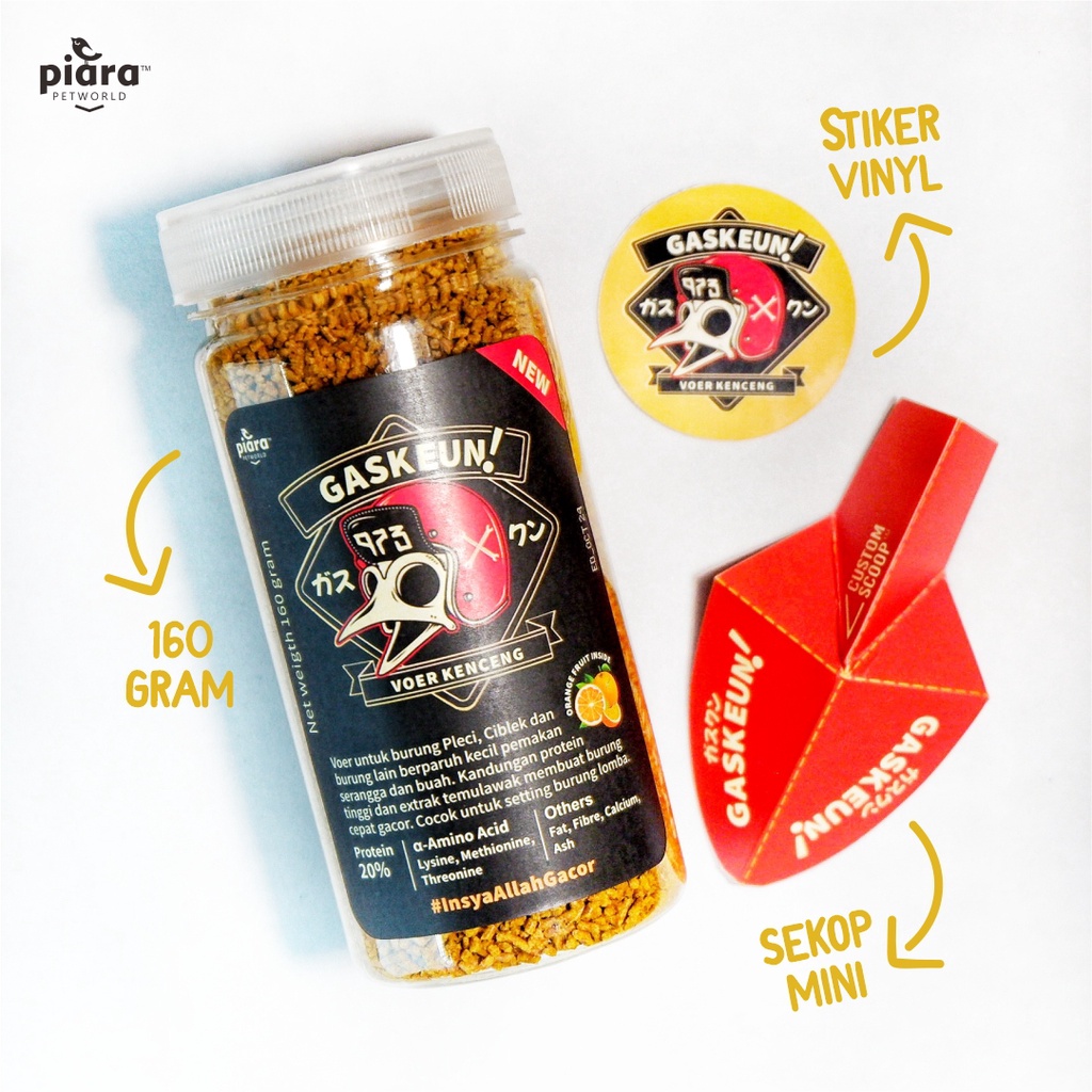 VOER PLECI CIBLEK GASKEUN GACOR HEMAT DOPING