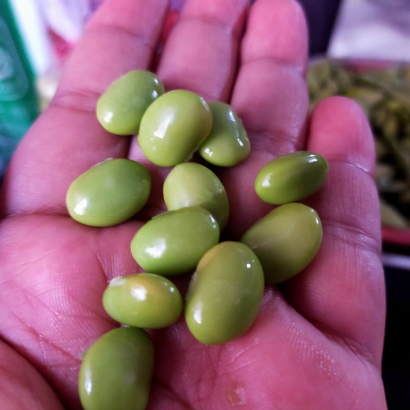 

EDAMAME KEDELAI 1KG