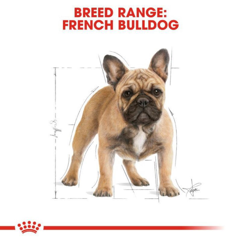 Royal Canin French Bulldog Adult 3Kg Freshpack Makanan Anjing French Bulldog Dewasa