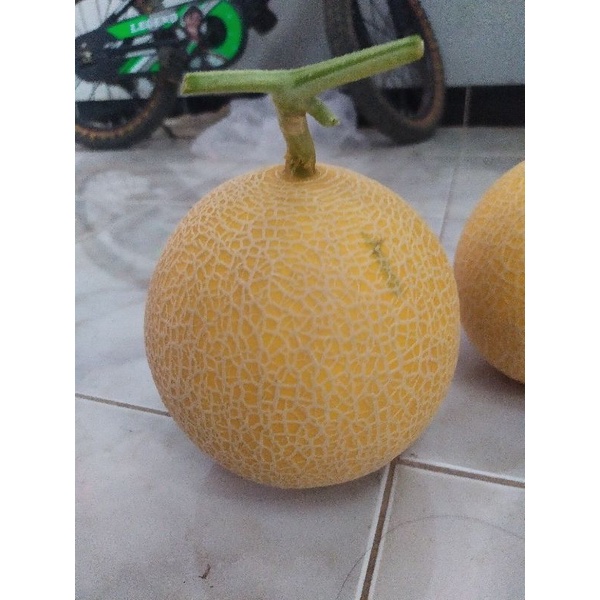 

melon super