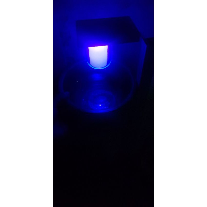 lampu perangkap hama dan lampu taman tenaga surya otomatis