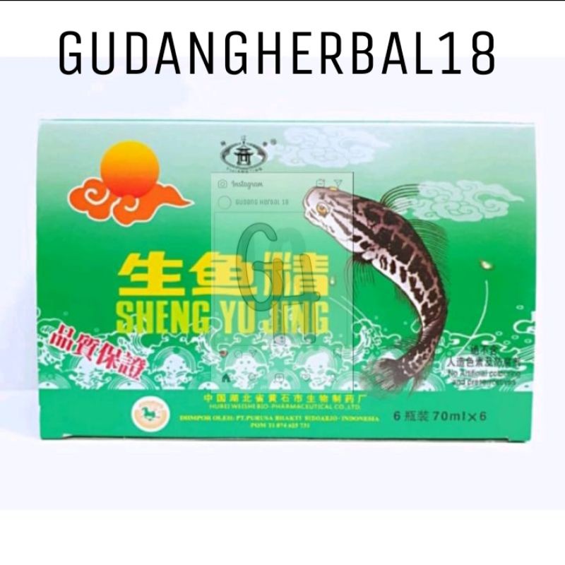 SHENG YU JING 6 BOTOL SARI IKAN GABUS KUTUK SHENGYUJING CHANNA sari pati ikan sari gabus sari kutuk 