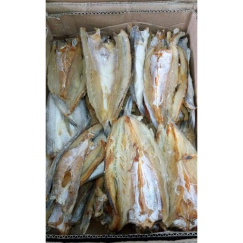 

ikan kering/ikan asin berkualitas bagus