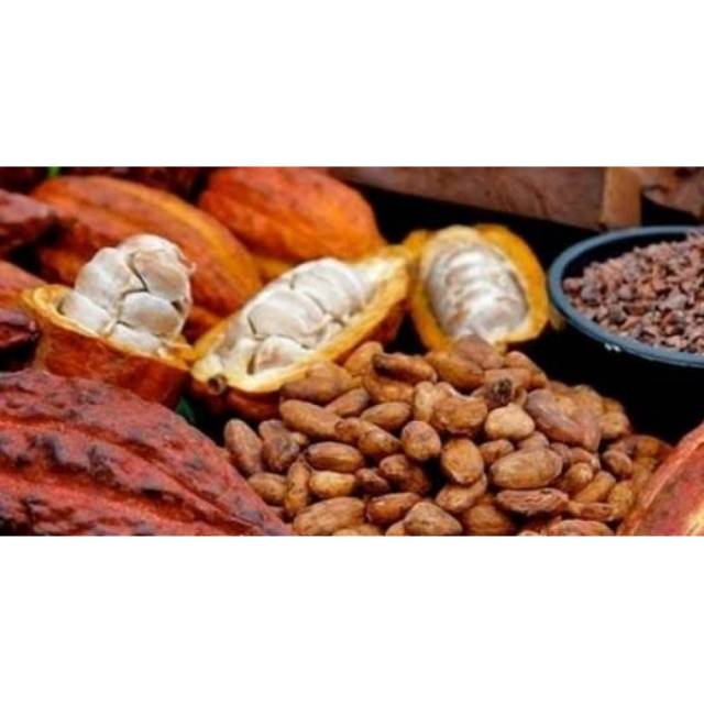 

BIJI COKLAT KERING, BIJI PILIHAN BERKUALITAS. 1Kg