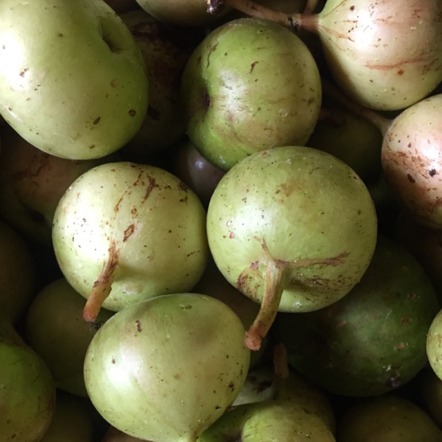 

Buah loa segar kg