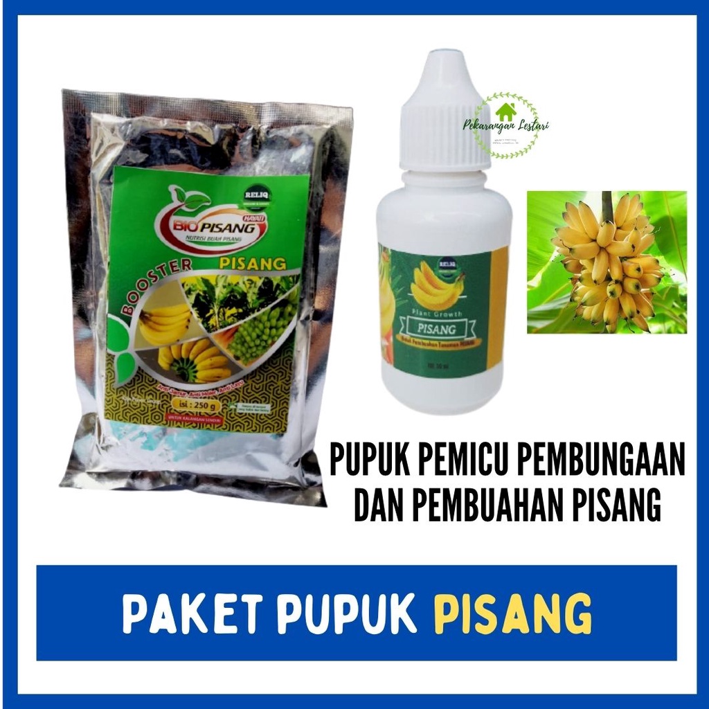 Pupuk Pisang Saat Berbuah, Fungisida Layu Fusarium Pisang Cavendish, Paket Budidaya Pohon Pisang