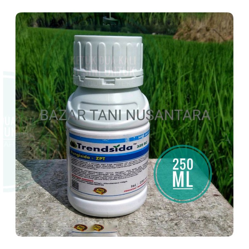 Trendsida 325 sc  fungisida padi anti jamur tanaman
