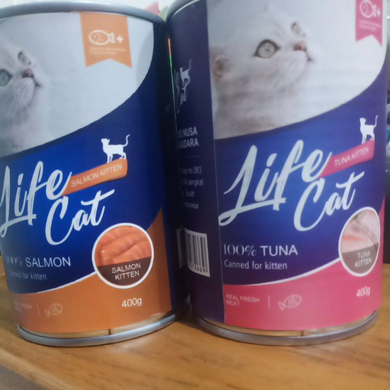 LIFE CAT KALENG KITTEN
