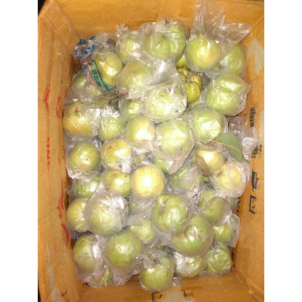 

buah kristal