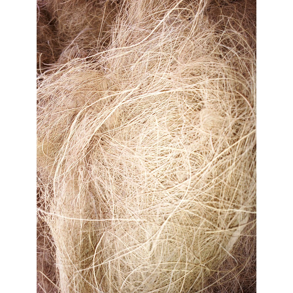 Jual Sabut Kelapa Untuk Tanaman