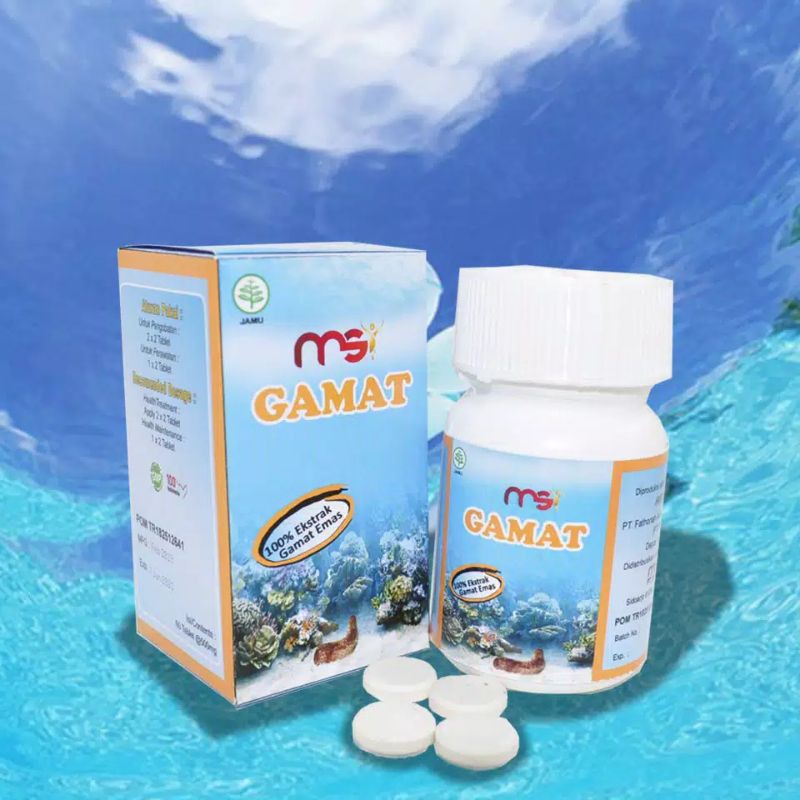 GAMAT MSI tripang asli ORI100%