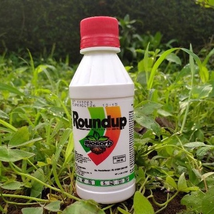 roundup 200 ML/pembasmi rumput gulma/obat semprot rumput/cairan pengendali rumput gulma/ronap/obat r