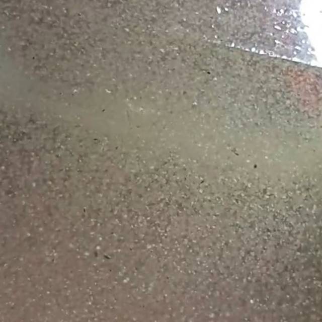 Kutu Air Halus/Kutir Halus Pakan Burayak Ikan Cupang 4HARI sd 2minggu Depok