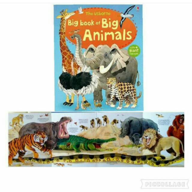 Big Book of Big Animal