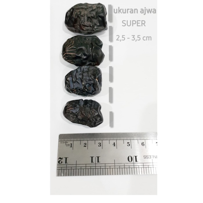

Promo Terbatas - Kurma Ajwa Madinah Super 500Gr