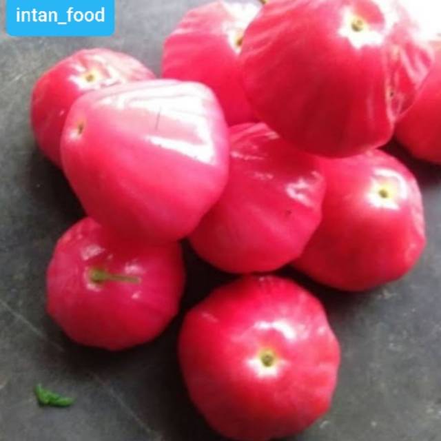 

Jambu air fresh 1kg