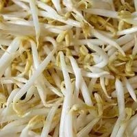 

Neng sayur Toge Fresh per 1/4 kg