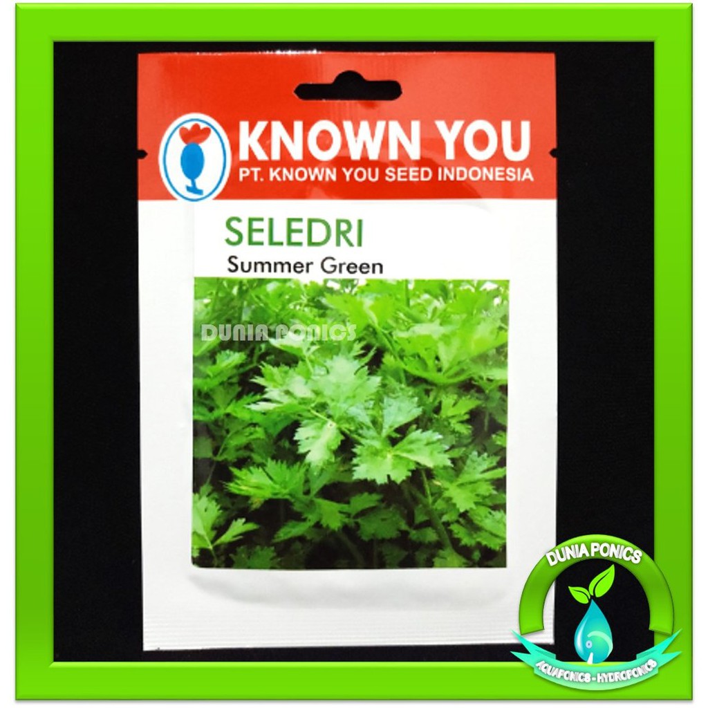 Benih Bibit Seledri SUMMER GREEN Known You Seed 1 Pack 5 Gram Li