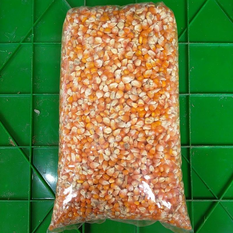 Jagung kristal Probolinggo 1kg