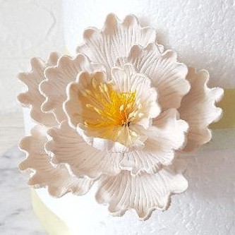 

[osheba] gumpaste bunga bs peony 10 cm warna putih