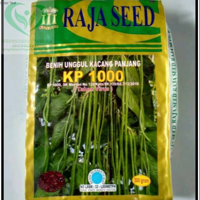 benih unggul kacang panjang KP 1000 500gr dari RAJA SEED