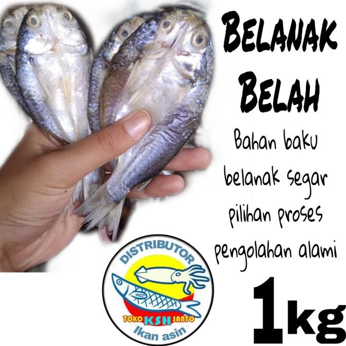 

Ikan Asin Belanak Belah 1Kg