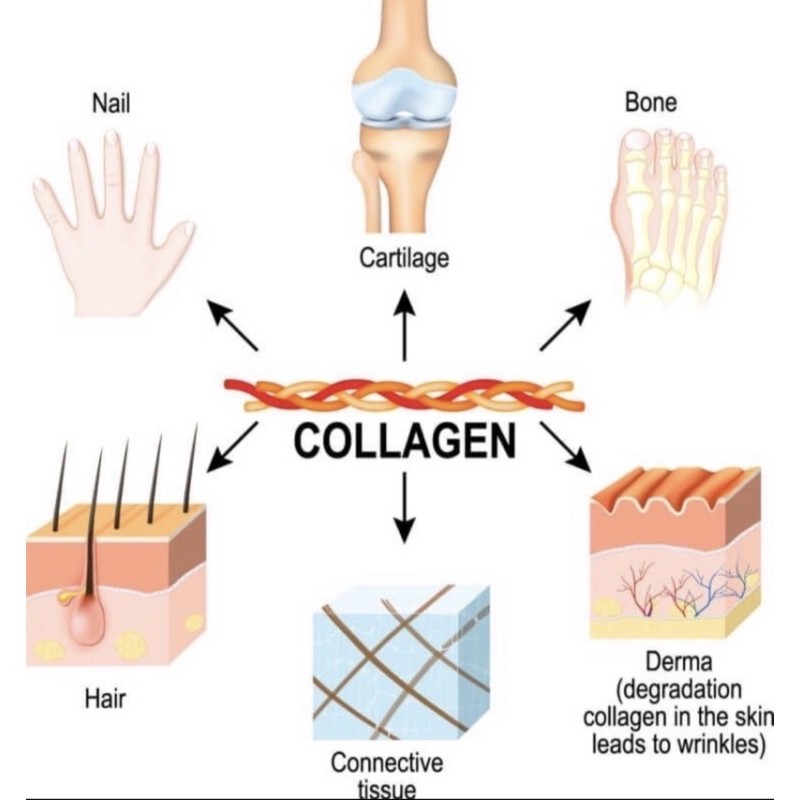 Vital Proteins Collagen Peptides | Marine Collagen Kolagen | Moon Milk | HA Vit C | Beauty Collagen