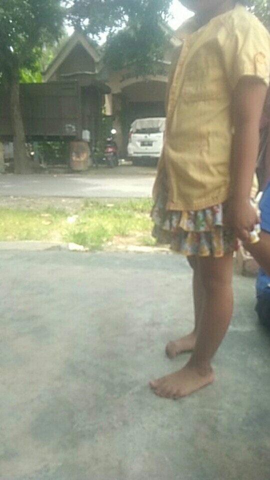 Serat Fiber / Serabut Lembaran Aquaproof Untuk Tembel Talang Murah