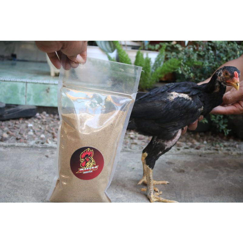 

tepung ikan 100% ikan pindang segar