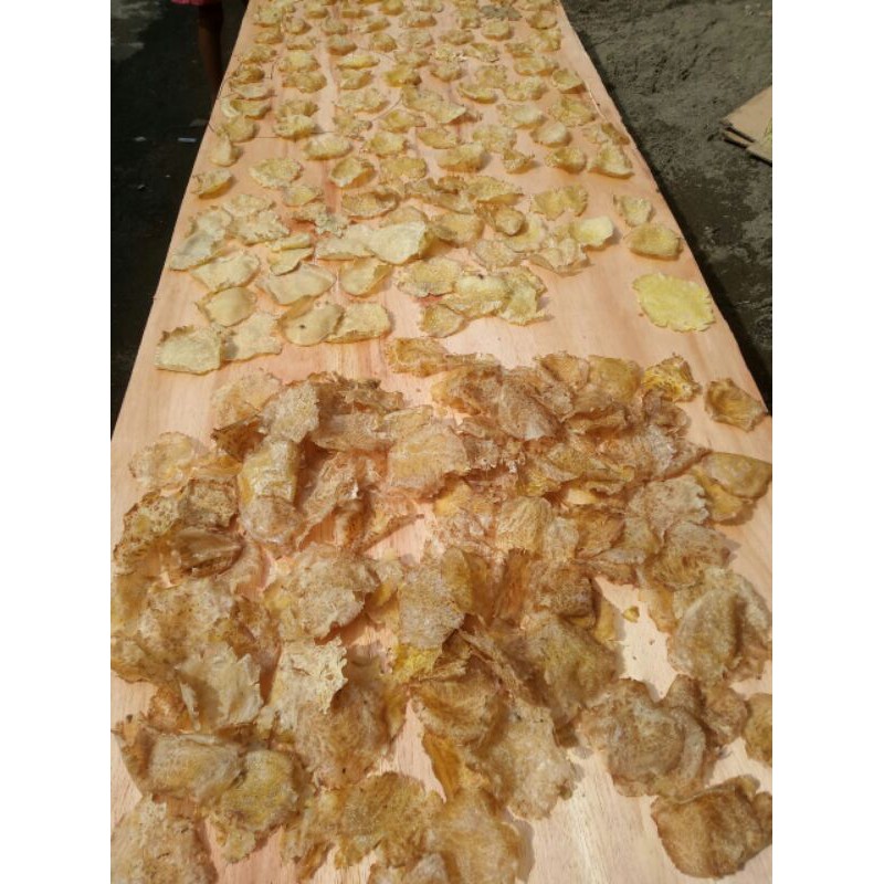 

Emping Jengkol Mentah Asli 1Kg Termurah