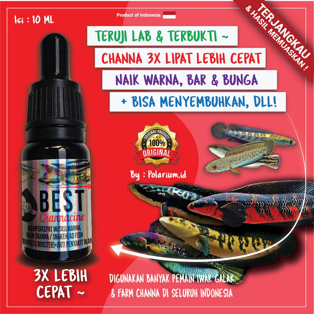 BEST CHANNACINE-Obat Mutasi Ikan Channa-Obat Mutasi Warna Channa-Bunga-Vitamin-Gondrong 10ML
