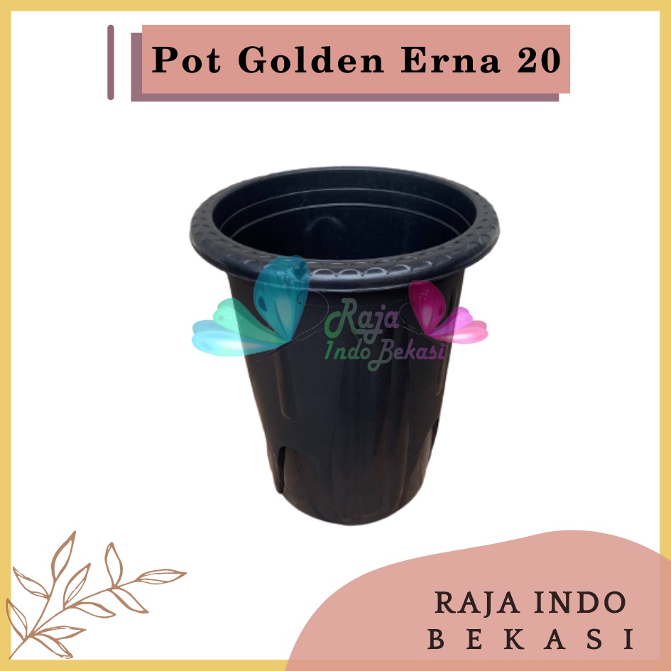 Rajaindobekasi Pot Golden Erna 20 Hitam Garden Of Love Mirip Pot Yogap 18 19 25 Murah Putih Coklat Merah Bata Bening Transparan Pot Yogap 18 19 25 Pot Yogap Murah Pot Bunga Tinggi Pirus Tegak Bagus Tebal