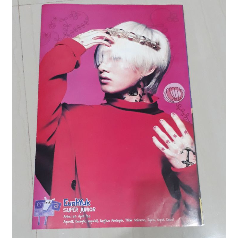 POSTER SUPER JUNIOR MR.SIMPLE