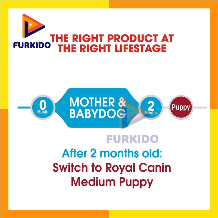 Royal Canin Medium Starter Mother &amp; Baby Dog 4 KG / Dog Food