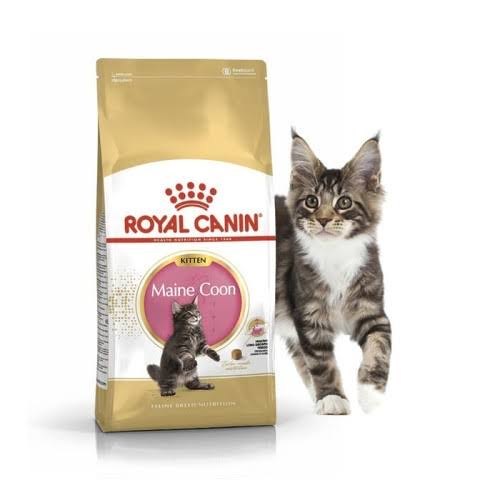 Royal Canin Kitten Maine Coon Freshpack 2KG