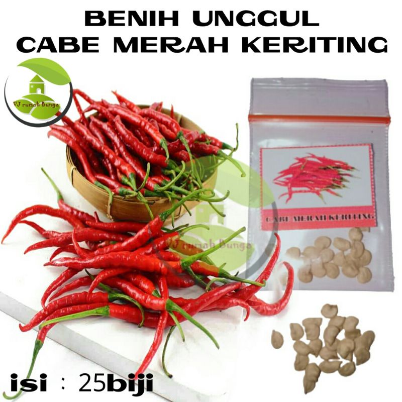 Benih Sayuran Unggul Ratusan Benih Sayur Benih Bibit Sayuran-Cabe Merah Keriting