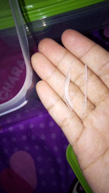 Calista Otaru Bening Isi 14 Pcs (7 Set) / Toples Plastik / Tempat Makanan / Container / Warna Hijau