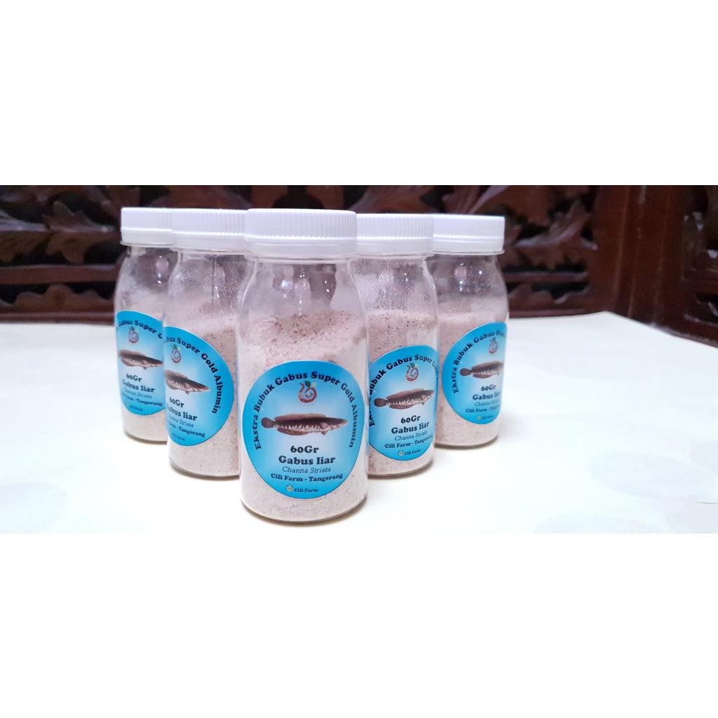 EKSTRAK IKAN GABUS KUTUK ALBUMIN ALBUPLUS OBAT HERBAL Diabetes - Kutuk