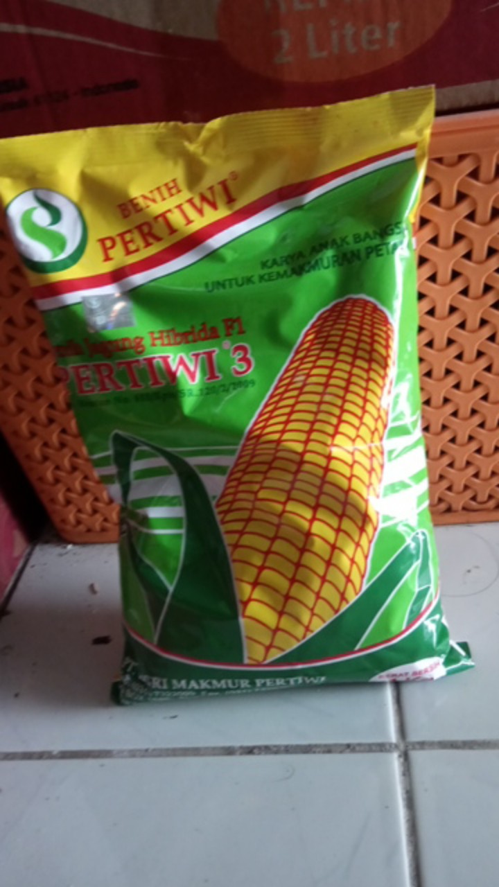 Bibit Jagung. Benih Jagung Hibrida F1 Pertiwi 3 (1 Kg)
