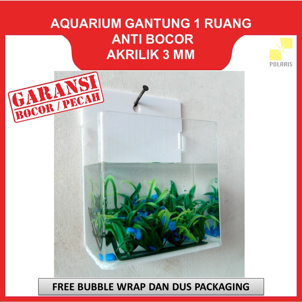 AKUARIUM CUPANG GANTUNG / AQUARIUM AKRILIK DINDING / SOLITER CUPANG AKRILIK GANTUNG