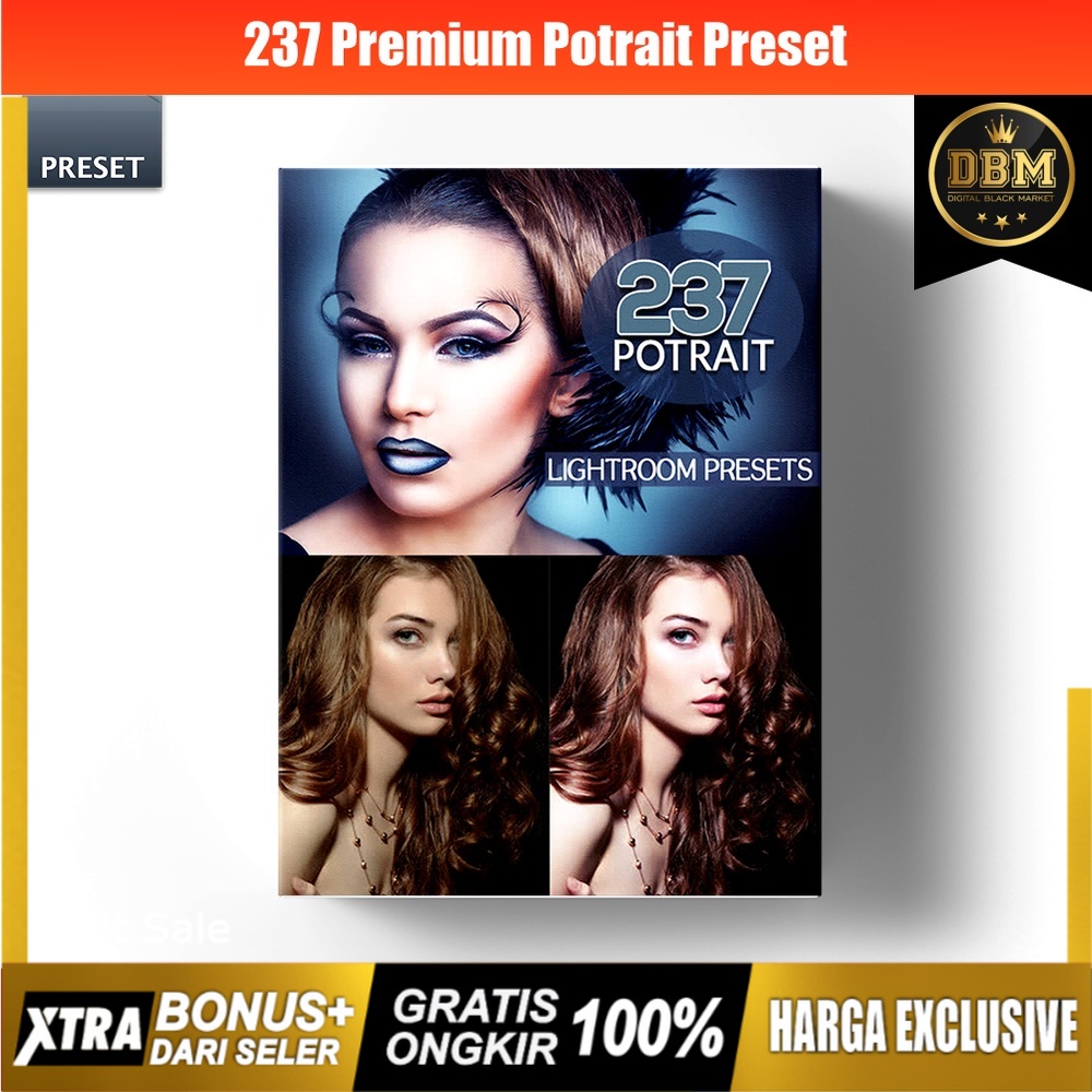 237 Premium Potrait - Lightroom Presets