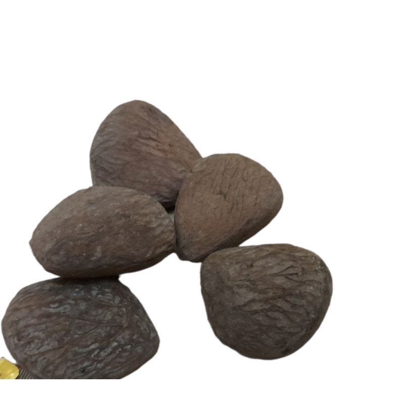 

250gram Kluwek/kepayang bumbu rawon bagus