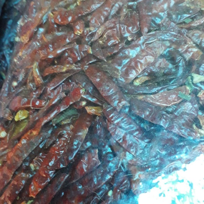

Marhies - Cabe Kering Caplak /Sanam.Import Kemasan 5 Kg/ Kg 95