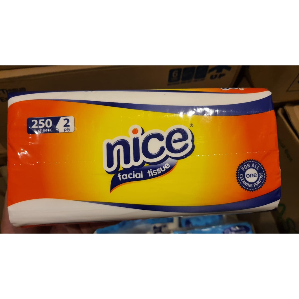 Tissue Tisu Nice 250 Sheets Facial - 2 Ply