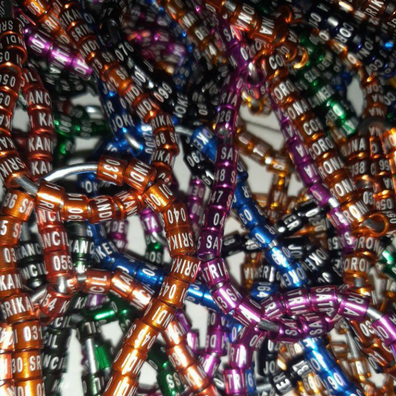 Ring murai batu , Kacer, Anis kembang sudah ada namanya