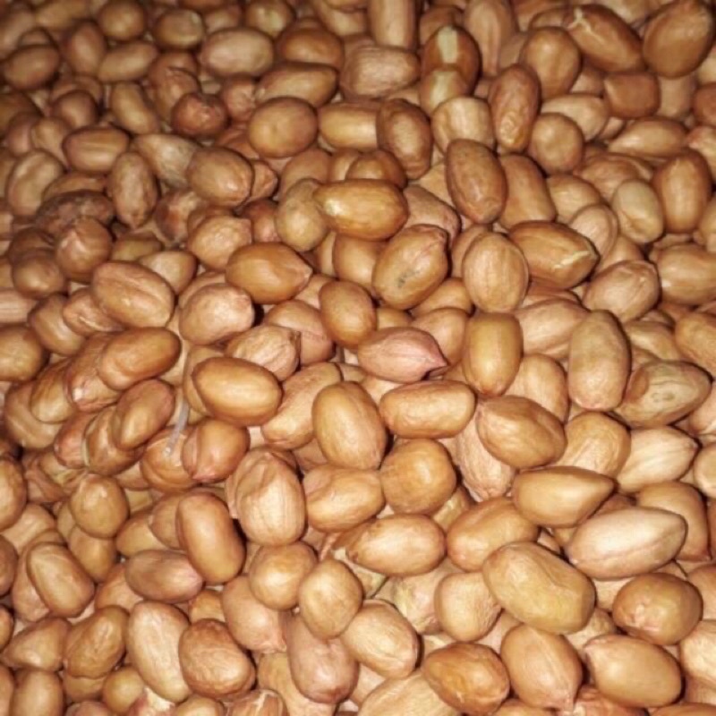 Kacang tanah 1kg